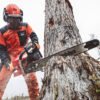 Shindaiwar Chainsaw 731SX