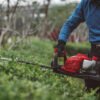 Double-sided Hedge Trimmer DH232ST-24