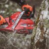 Shindaiwa Chainsaw 501sx