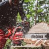 Shindaiwa Chainsaw 501sx