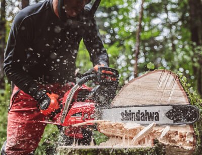 Shindaiwa Chainsaw 501sx
