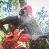 Shindaiwa Chainsaw 601sx