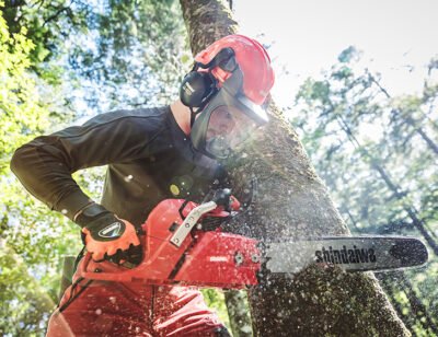 Shindaiwa Chainsaw 601sx