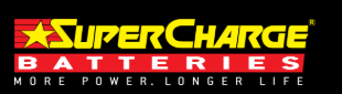 Amp-Tech Amptech Flooded Deep Cycle D12